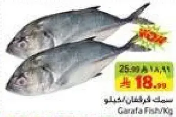 Garfish