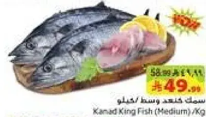 Kuwait King Fish Medium