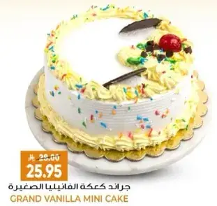 Grand Vanilla Mini Cake