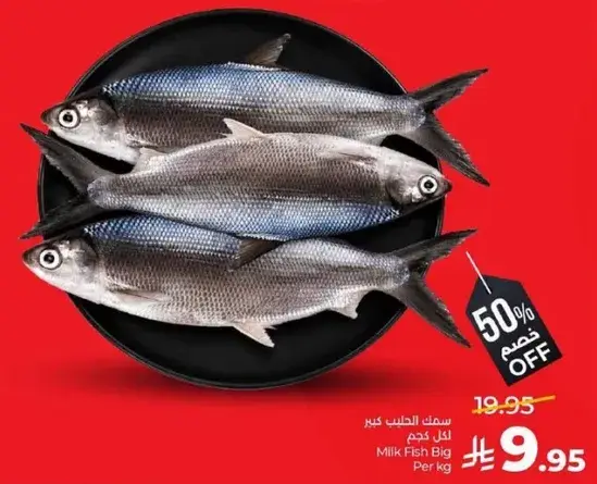 Milk Fish Big Per Kg