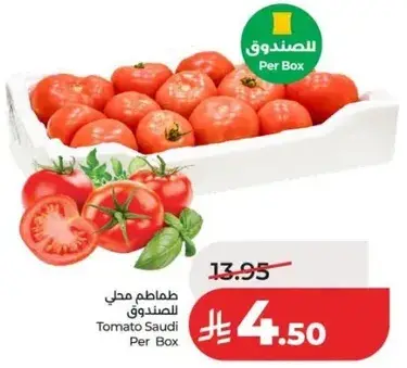 طماطم محلي للصندوق
