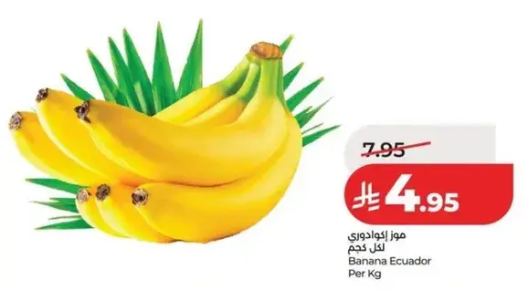 Banana Ecuador Per kg