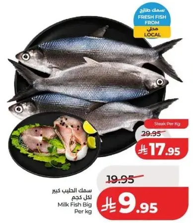 Milk Fish Big Per kg
