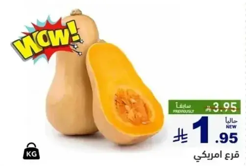 قرع امريكي.