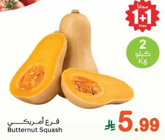 قرع امريكي