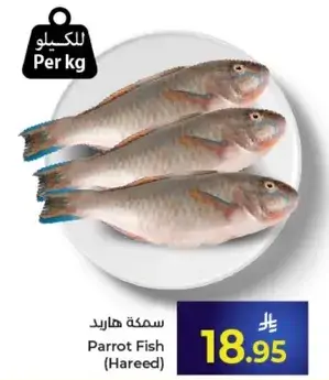 Parrot Fish (Hareed)