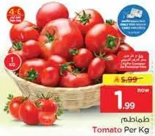 Tomato Per Kg