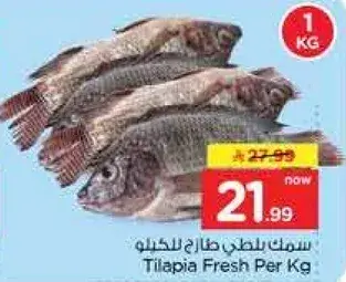 Tilapia Fresh Per Kg