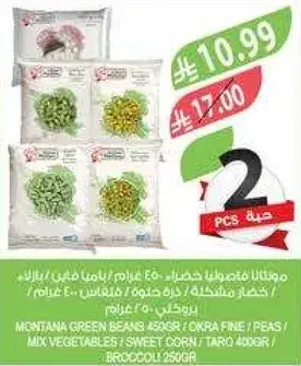 Montana Green Beans 450g