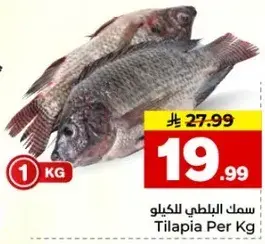 سمك البلطي للكilo