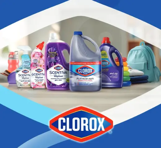 Clorox Cleaning Products Assorted
