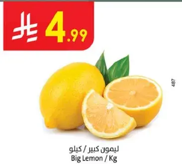 ليمون كبير / كيلو