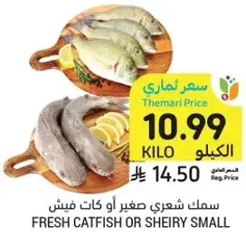 سمك شعري صغير او كات فيش