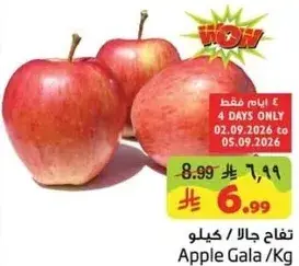Apple Gala /Kg