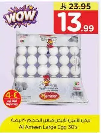 Al Ameen Large Egg 30's