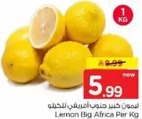 ليمون كبير افريقي للكilo