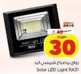 Solar LED Light RA31