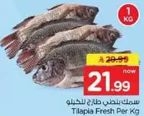 سمك بلطي طازج للكيلو
