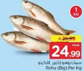 سمك روهو (كبير) للخيلو