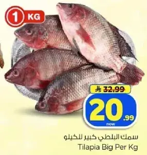 سمك البلطي كبير للكيلو