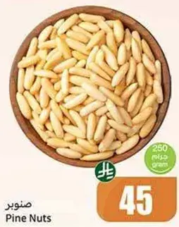 صنوبر