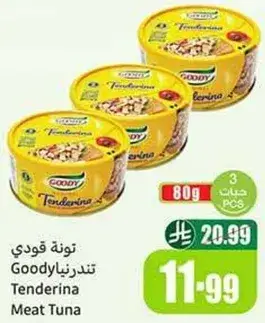 تونه قودي تندريتا