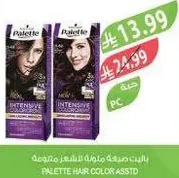 صبغه شعر باليت متنوعه