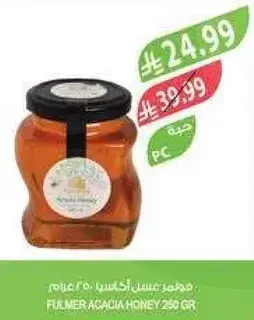 Fulmer Acacia Honey 250g