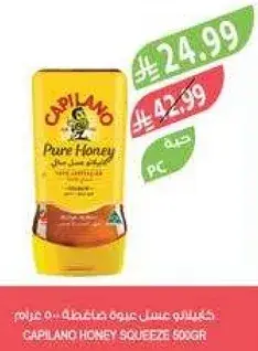 Capilano Pure Honey Squeeze 500g