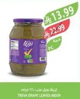 ورق عنب تريفا 560 غرام