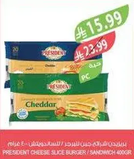 برينستون شريحه جبنه برجر / ساندويتش 400 غرام