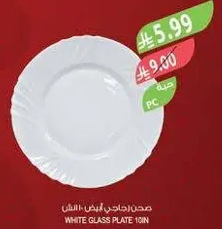 White glass plate 10in