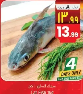 سمك السلور 1 كجم