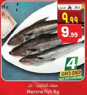 سمك الماكرون 1 كغ