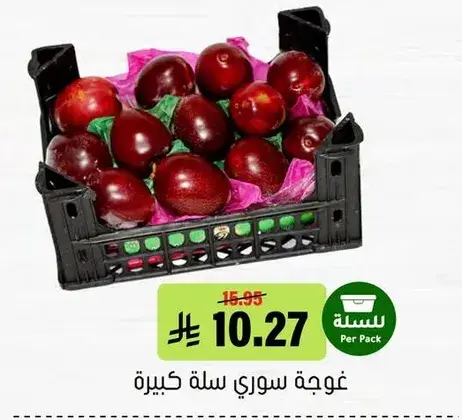 غوجه سوري سله كبيره