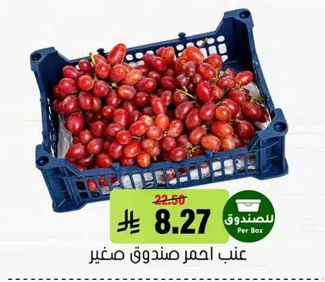 عنب احمر صندوق صغير.