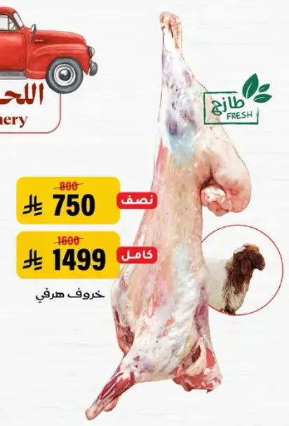 خروف هرفي كامل.