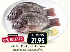 سمك البلطي المذاب/كيلو