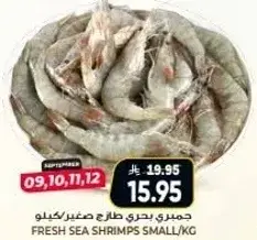 جمري بحري طازج صغير/كيلو