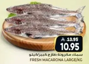 Fresh macaron large per kg.