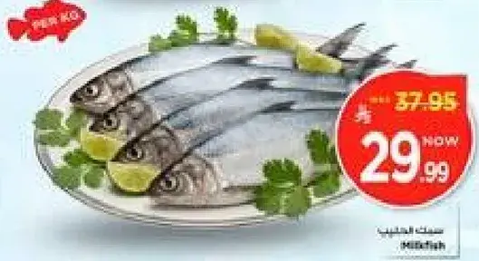 Mackerel Fish
