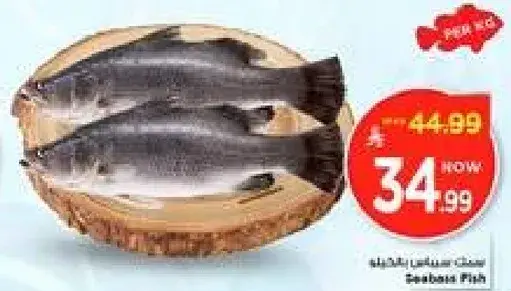 سمك سيباس