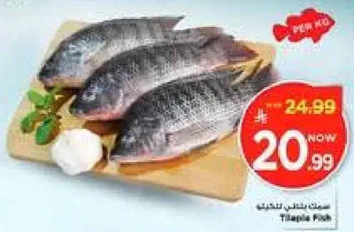 سمك تيلاapia