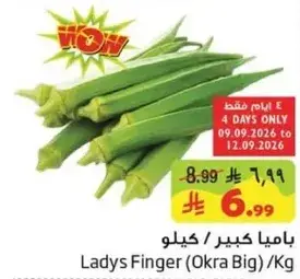 باميا كبيره / كيلو