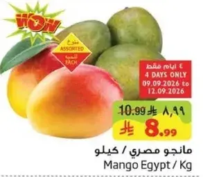 مانجو مصري