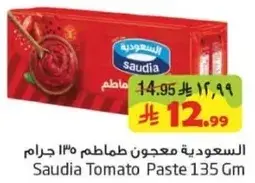 Saudia Tomato Paste 135 Gm