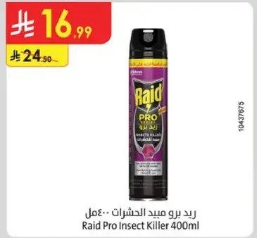 Raid Pro Insect Killer 400ml