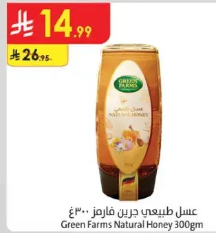 Green Farms Natural Honey 300g