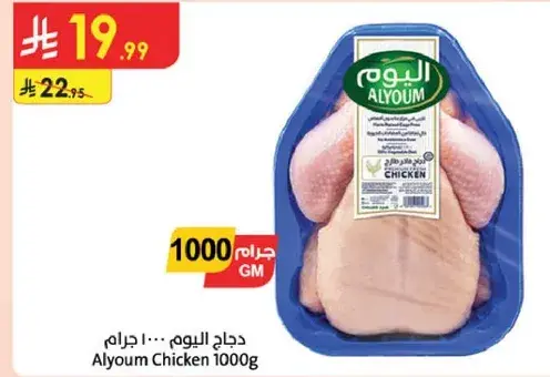 دجاج اليوم 1000 جرام