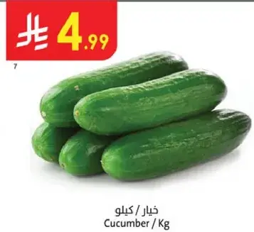 خيار / كيلو
